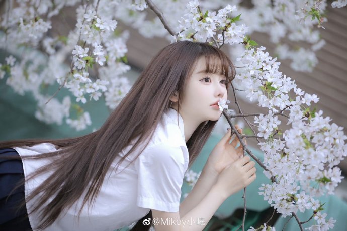 风之谷